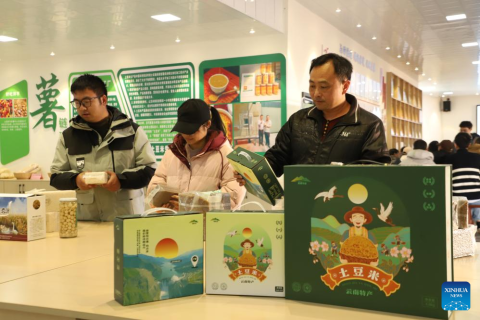 Ви зараз переглядаєте Картопляний «рис»: нова технологія для продовольчої безпеки Китаю