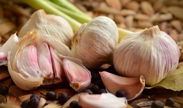 Ви зараз переглядаєте У Європі прогнозують збільшення споживання часнику