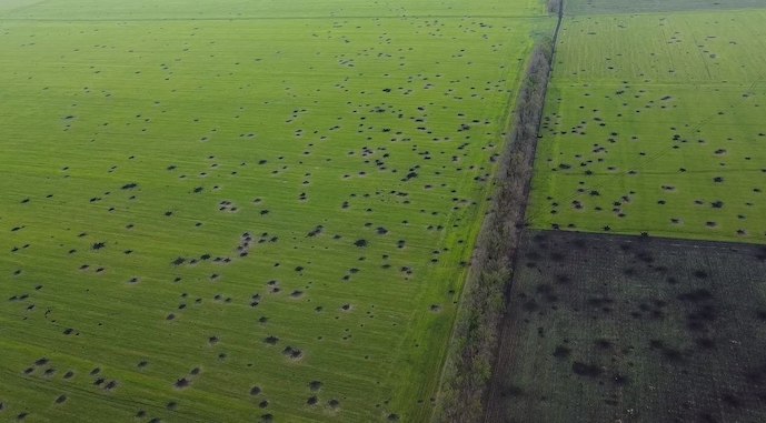 Ви зараз переглядаєте Аграріям із прифронтових територій виплатили 2,3 млрд грн держпідтримки