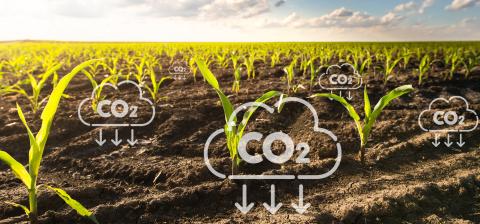 Ви зараз переглядаєте ЄС запроваджує першу сертифікацію для видалення вуглецю та сільського господарства на основі вуглецю