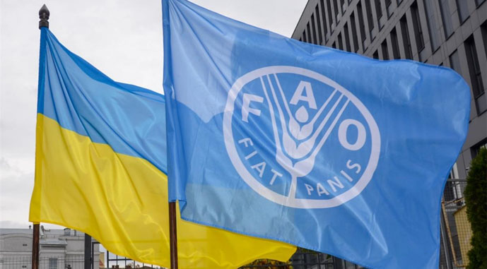Ви зараз переглядаєте ФАО шукає постачальників насіння картоплі та овочів для постраждалих територій