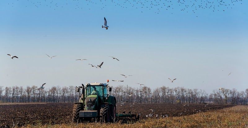 Ви зараз переглядаєте На Луганщині аграріїв зобв’язали до 1 січня 2025 року перереєструвати техніку за російським законодавством