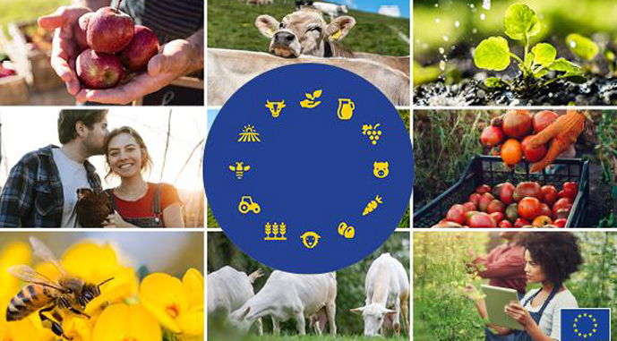 Ви зараз переглядаєте Позитивні наслідки агроспівпраці посилюватимуться з інтеграцією України до ЄС