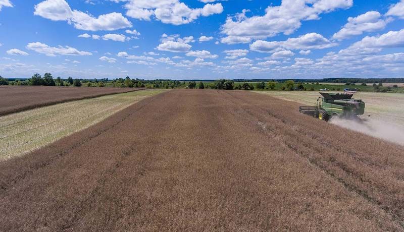 Ви зараз переглядаєте Продуктивність сільського господарства в Європі у 2024 році зросла на 1,6% — Євростат