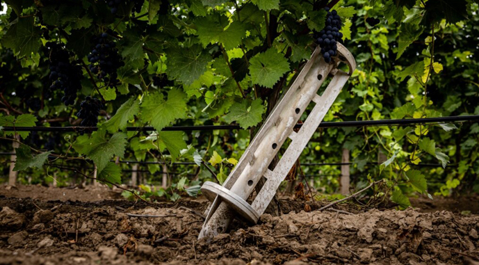 Ви зараз переглядаєте Розмінування та очищення ґрунтів в Україні потребує розробки нових рішень на рівні ЄС