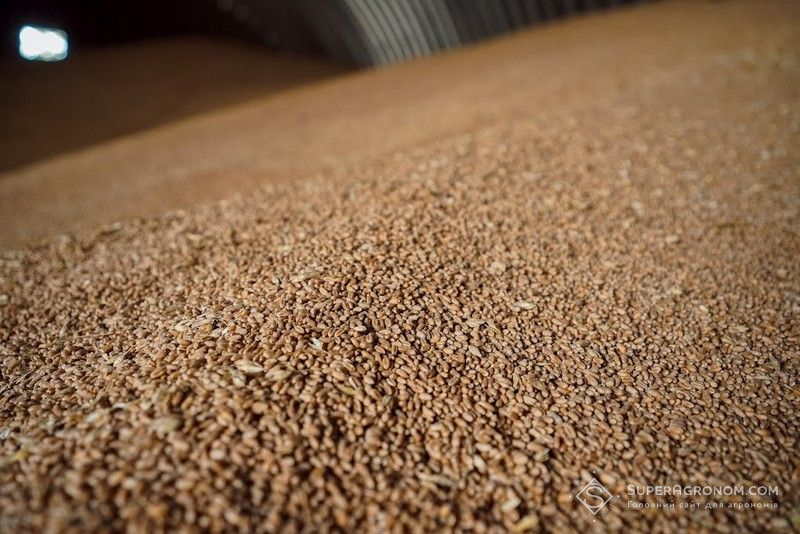 Ви зараз переглядаєте Світові ціни на пшеницю залишаться стабільними в короткостроковій перспективі