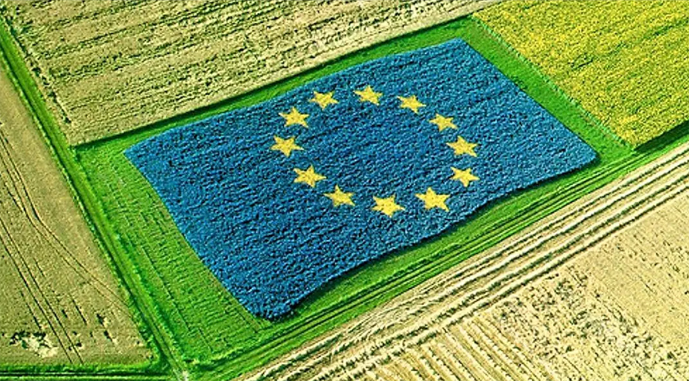 Ви зараз переглядаєте У ЄС створили новий орган, який опікуватиметься сільським господарством