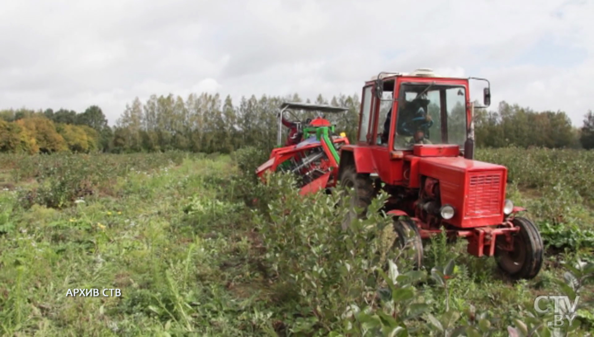 Ви зараз переглядаєте Українські аграрії отримають 231,5 млн грн компенсації за придбану сільгосптехніку