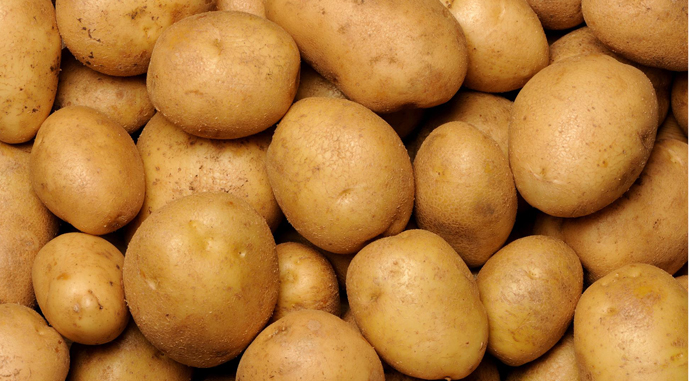 Ви зараз переглядаєте Заборона на українську картоплю в Європі діє через невірну статистику