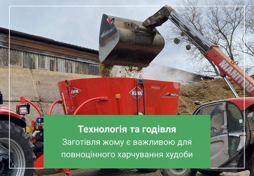 Буряковий жом в годуванні худоби: як правильне зберігання підвищує його ефективність?2