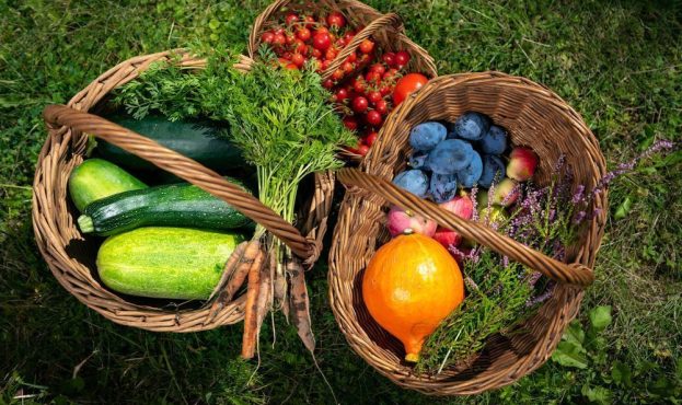 Ви зараз переглядаєте В Європі знижується попит на органічну продукцію