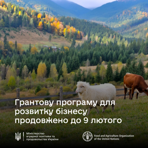 Ви зараз переглядаєте До 9 лютого продовжено прийом заявок на грантову програму від ФАО та ЄС за підтримки Мінагрополітики