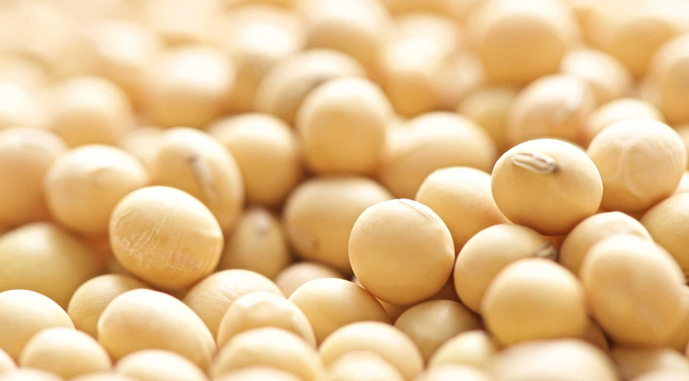 Ви зараз переглядаєте Аргентина знижує експортні мита на основні сільгоспкультури