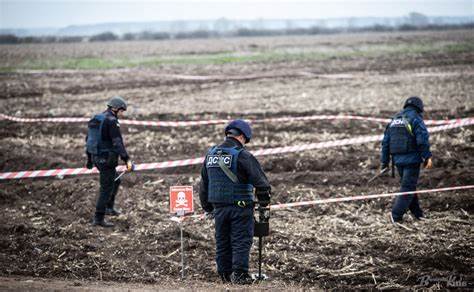 Ви зараз переглядаєте На Київщині у межах держкомпенсації розміновано 487 га сільгоспземель Інституту картоплярства