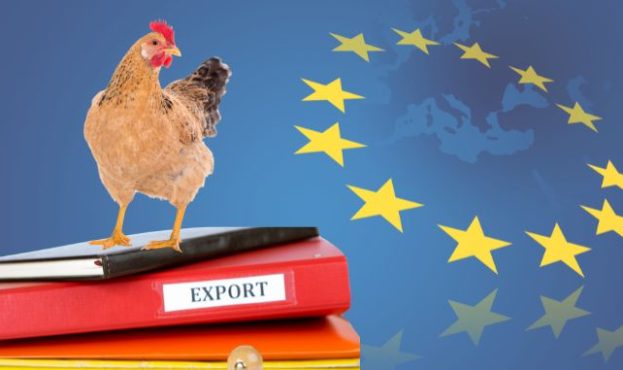 Ви зараз переглядаєте Мінагрополітики розподілило квоти на експорт м’яса птиці до ЄС