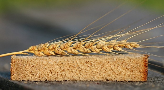 Ви зараз переглядаєте Grain from Ukraine: 47 тис. т продовольства пішло до Африки на другому етапі