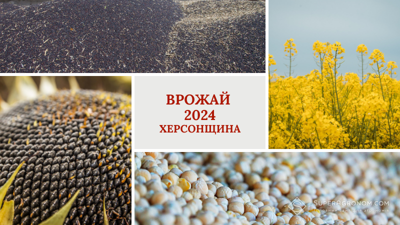 Ви зараз переглядаєте Попри складну ситуацію на Херсонщині, аграріям регіону вдалось зібрати вдвічі більший врожай, ніж торік