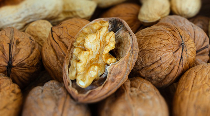 Ви зараз переглядаєте У США значно скоротилось виробництво волоського горіха