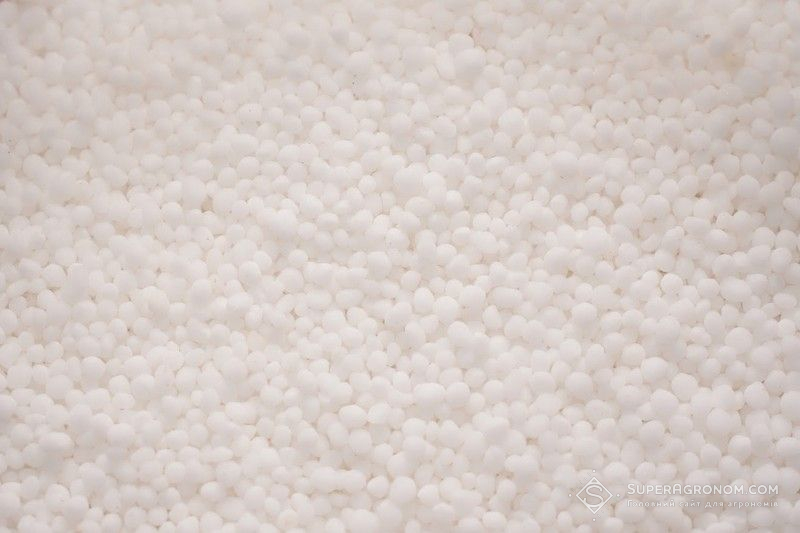 Ви зараз переглядаєте В країнах ЄС зросли ціни на карбамід і КАС