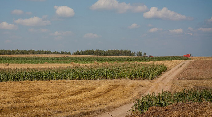 Ви зараз переглядаєте В Україні шукають постачальників агропродукції для ваучерних програм