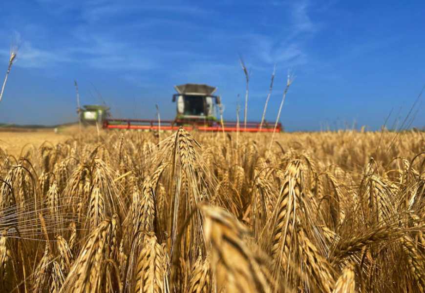 Ви зараз переглядаєте Науковці прогнозують 3% зростання виробництва агропродукції у 2025 році