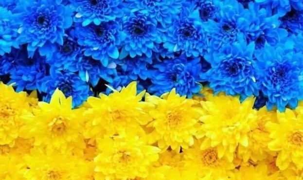 Ви зараз переглядаєте На Рівненщині вирощують квіти та овочі для підтримки ЗСУ