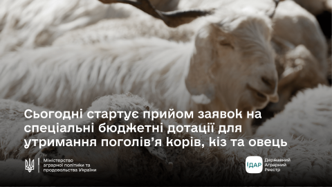 Ви зараз переглядаєте Увага! Стартує прийом заявок на спеціальні бюджетні дотації для утримання поголів’я корів, кіз та овець