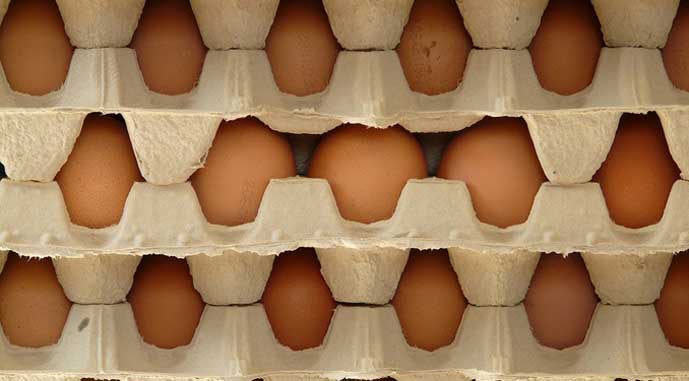 Ви зараз переглядаєте Туреччина ушестеро збільшить експорт яєць до США