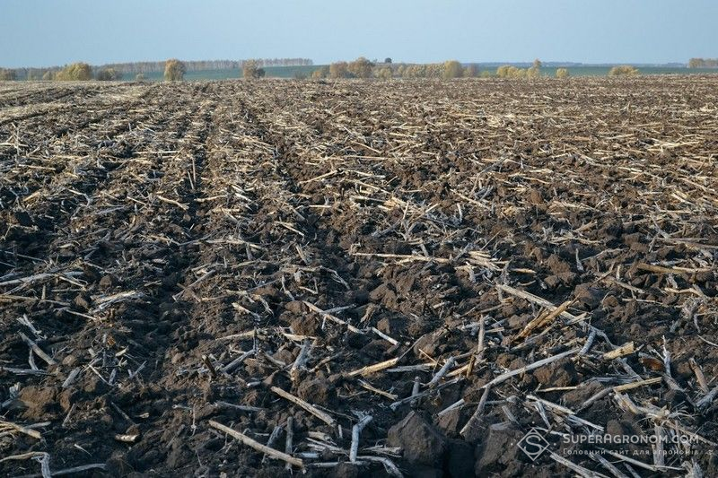 Ви зараз переглядаєте ​У Чернігівському кластері «Агро-Регіон» зростуть площі під мінімальним обробітком на 21%