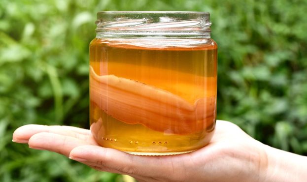 Ви зараз переглядаєте Комбуча: що це таке та чим вона корисна