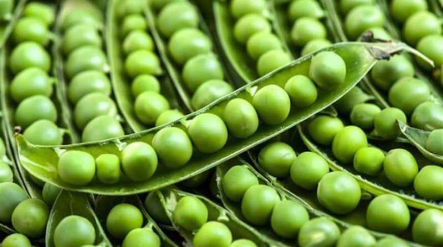 Ви зараз переглядаєте Китай імпортуватиме український гороху та риби