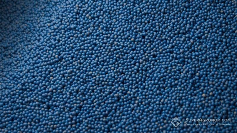 Ви зараз переглядаєте Імпорт насіння цукрових буряків та овочів три роки поспіль зростає