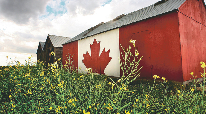 Ви зараз переглядаєте Канада збільшує підтримку аграріїв для компенсації збитків від китайських мит