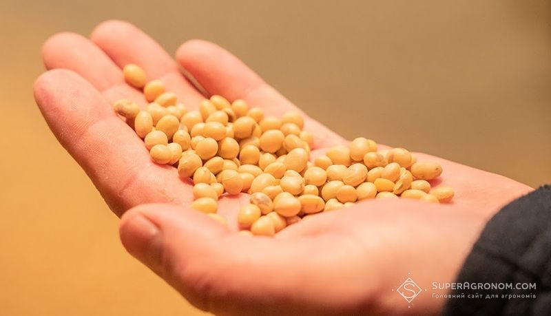 Ви зараз переглядаєте На ціни на сою в Україні в другій половині сезону вливатимуть низькі світові ціни