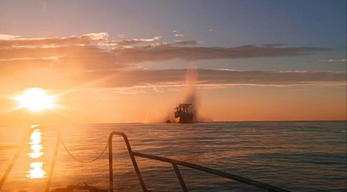 Ви зараз переглядаєте США домовлятимуться з росією про «зерновий коридор» у Чорному морі