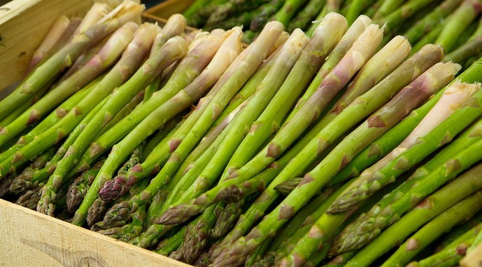 Ви зараз переглядаєте У Європі сезон спаржі стартував раніше
