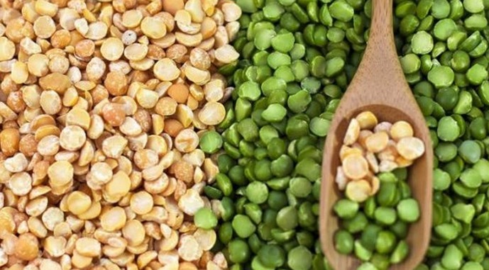 Ви зараз переглядаєте Відкриття ринку Китаю істотно не позначиться на посівах гороху в Україні