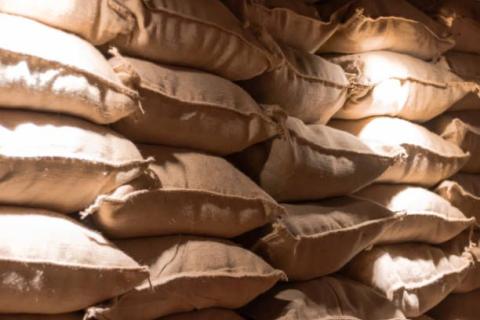 Ви зараз переглядаєте В межах Grain from Ukraine відправлено понад 280 тисяч тонн агропродукції до країн Африки та Близького Сходу