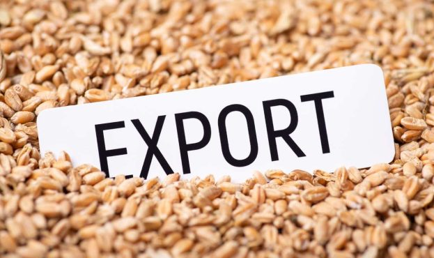 Ви зараз переглядаєте Експорт української агропродукції у березні досяг 2,1 млрд дол США