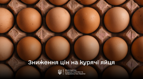 Ви зараз переглядаєте Вперше з початку лютого зафіксовано зниження цін на курячі яйця