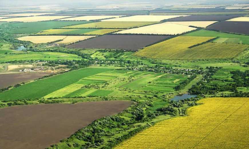 Ви зараз переглядаєте Депутати планують спростити в Україні поділ державних сільгоспземель на ділянки