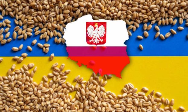 Ви зараз переглядаєте Польща хоче отримати свій порт в Одесі для експорту зерна в Африку