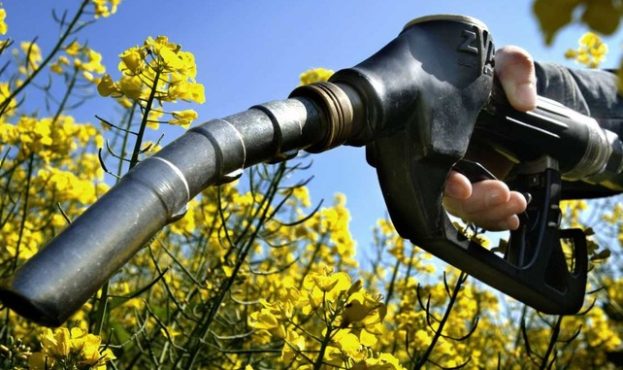 Ви зараз переглядаєте Україна може замістити США на європейському ринку біоетанолу