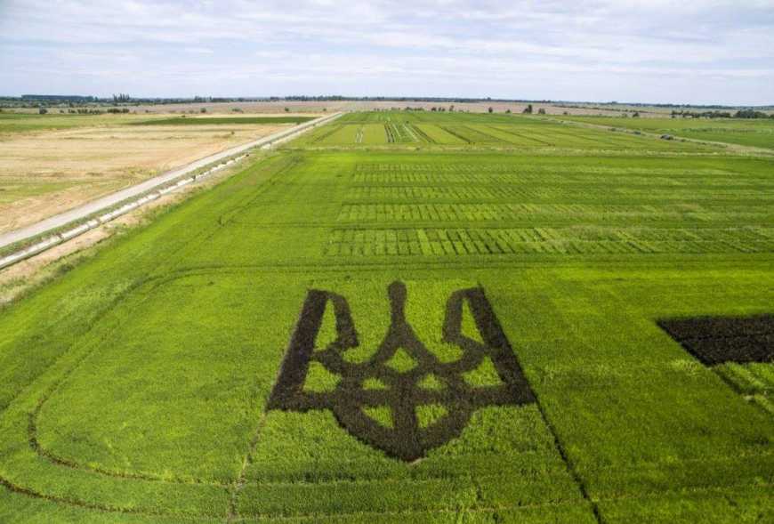 Ви зараз переглядаєте Закон, який дозволяє залишати у власності незаконно відчужені землі підписано Президентом України