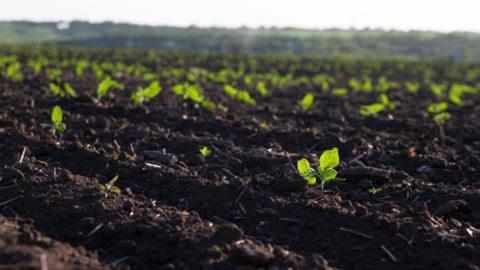 Ви зараз переглядаєте На повоєнне відновлення сільськогосподарських ґрунтів України потрібно не менше $20 млрд.