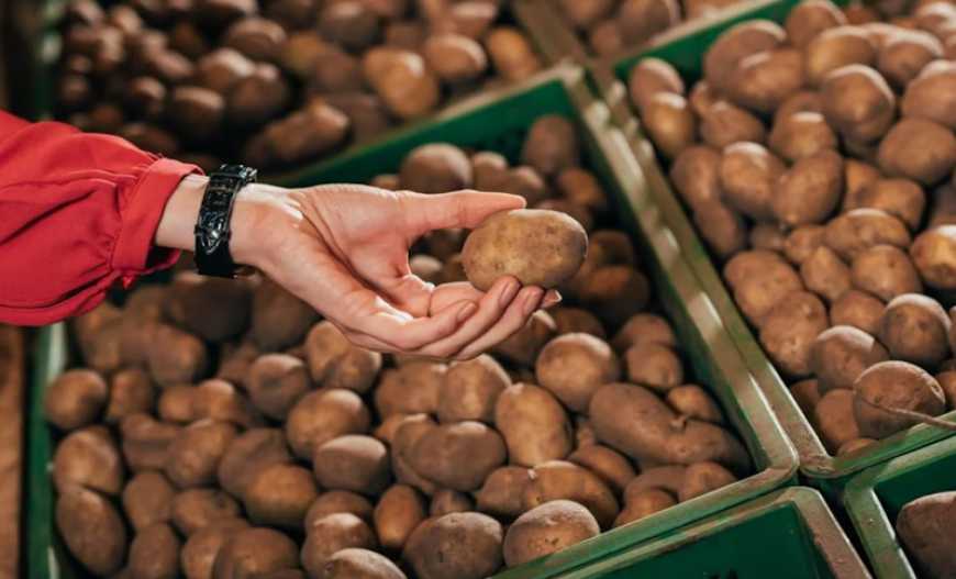 Ви зараз переглядаєте Картопля в Україні за тиждень подешевшала на 14%