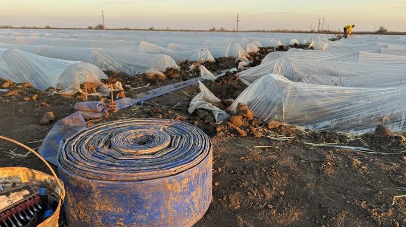 Ви зараз переглядаєте На правобережжі Херсонщини відновлюють господарства після окупації та проводять посівну 2025 — досвід фермерів