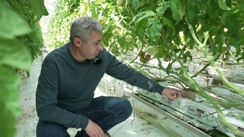 На Рівненщині працює одна з найстаріших теплиць в Україні2