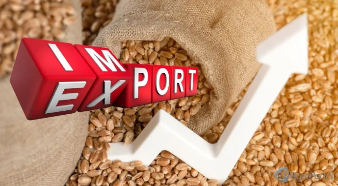 Ви зараз переглядаєте Україна скорочує експорт агропродукції