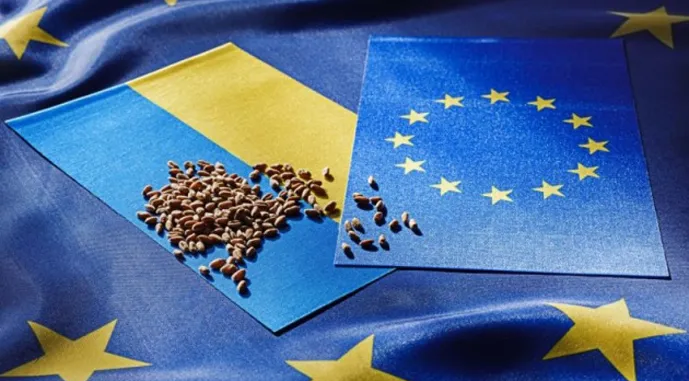 Ви зараз переглядаєте Мільярдні втрати та невиконання контрактів: чим загрожують нові умови торгівлі з ЄС